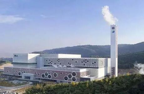 600MW Bioelectrical Power Plant